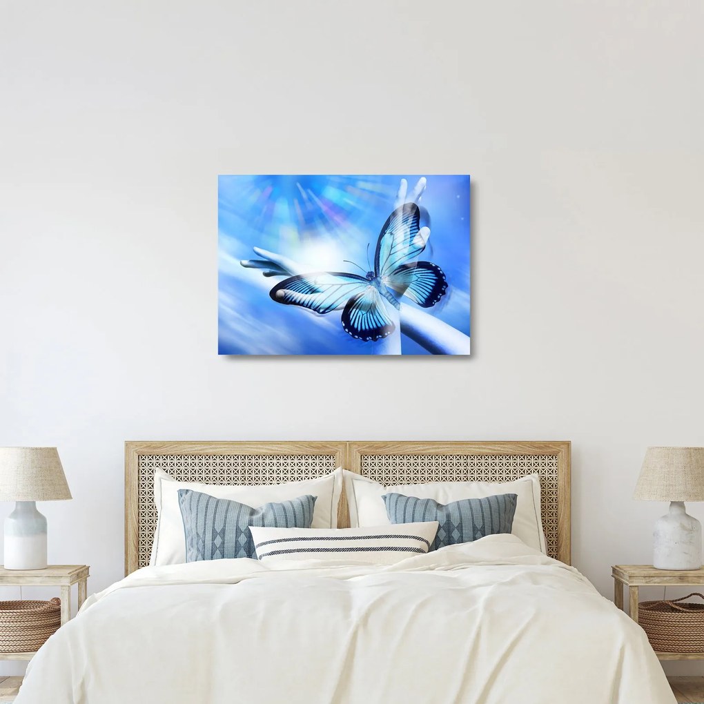Sklenený obraz - Motýľ, symbol nádeje (70x50 cm)