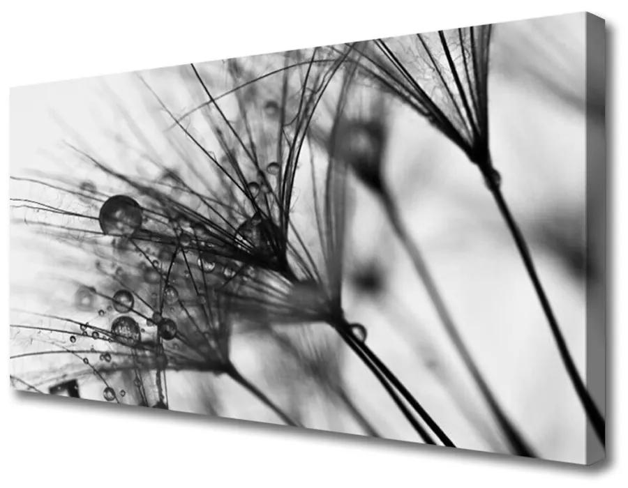 Obraz na plátne Abstrakcie rastlina 120x60 cm