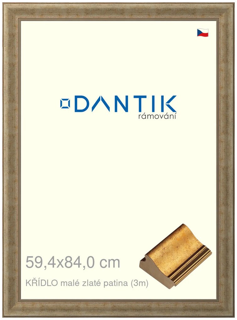 DANTIK rám na obraz 59,4x84 | KŘÍDLO malé zlaté patina (Plexi Čiré)