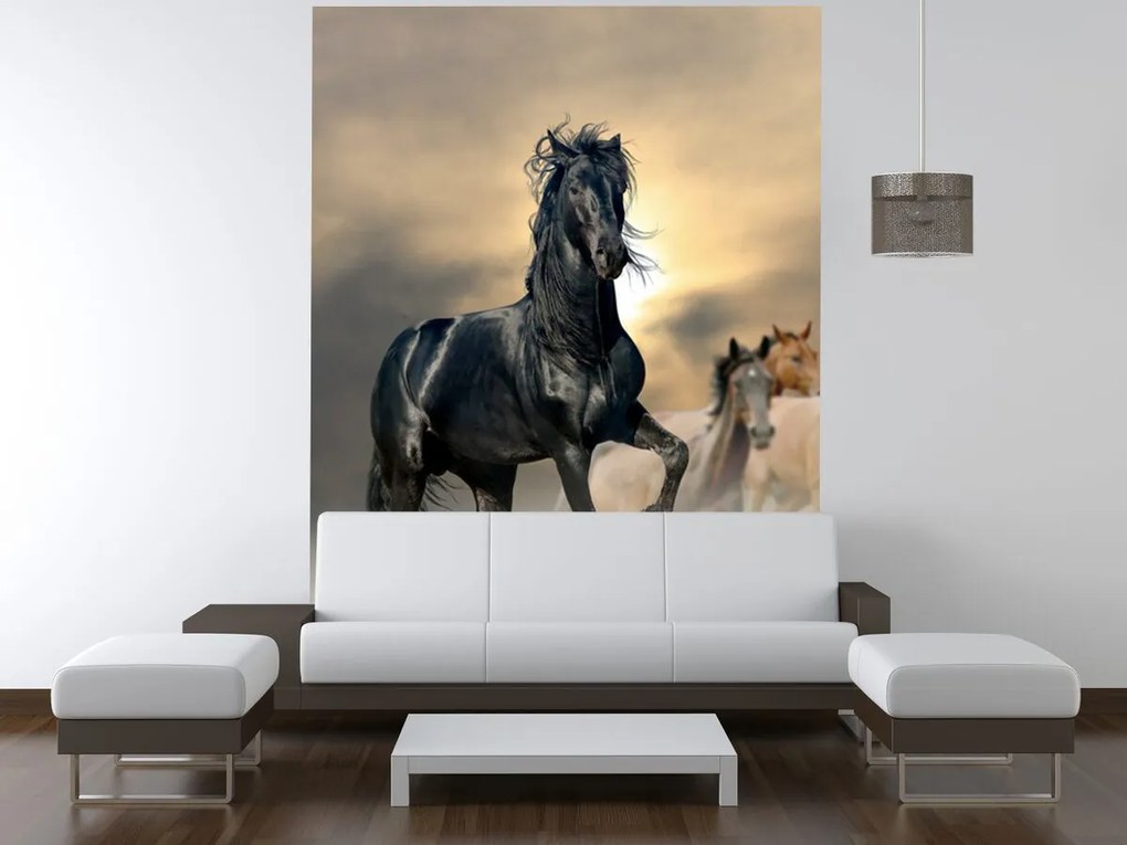 Gario Fototapeta Nádherný čierny kôň Materiál: Samolepiaca, Rozmery: 200 x 135 cm