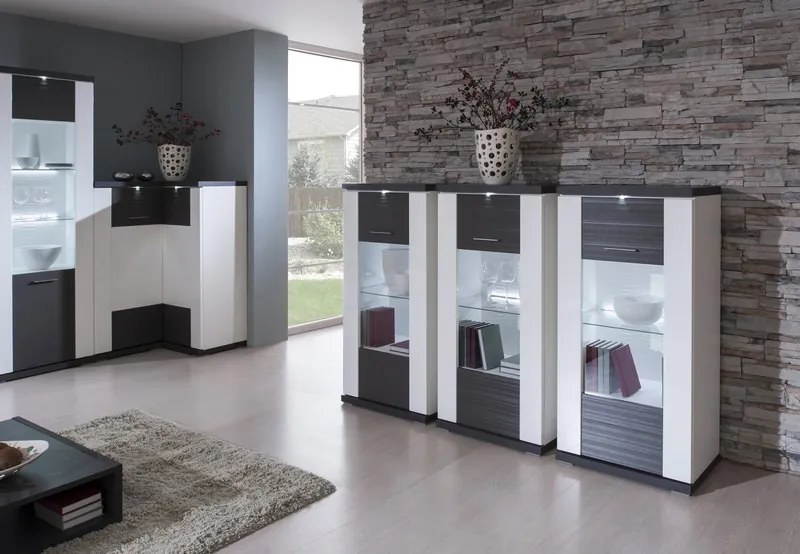 Vitrína Caracas typ 28, grafit/biely lesk, s osvetlením