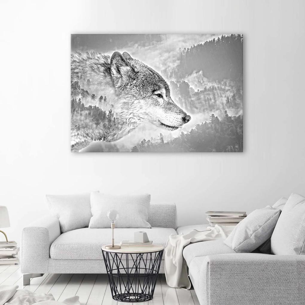 Gario Obraz na plátne Vlk na snehovom pozadí Rozmery: 60 x 40 cm