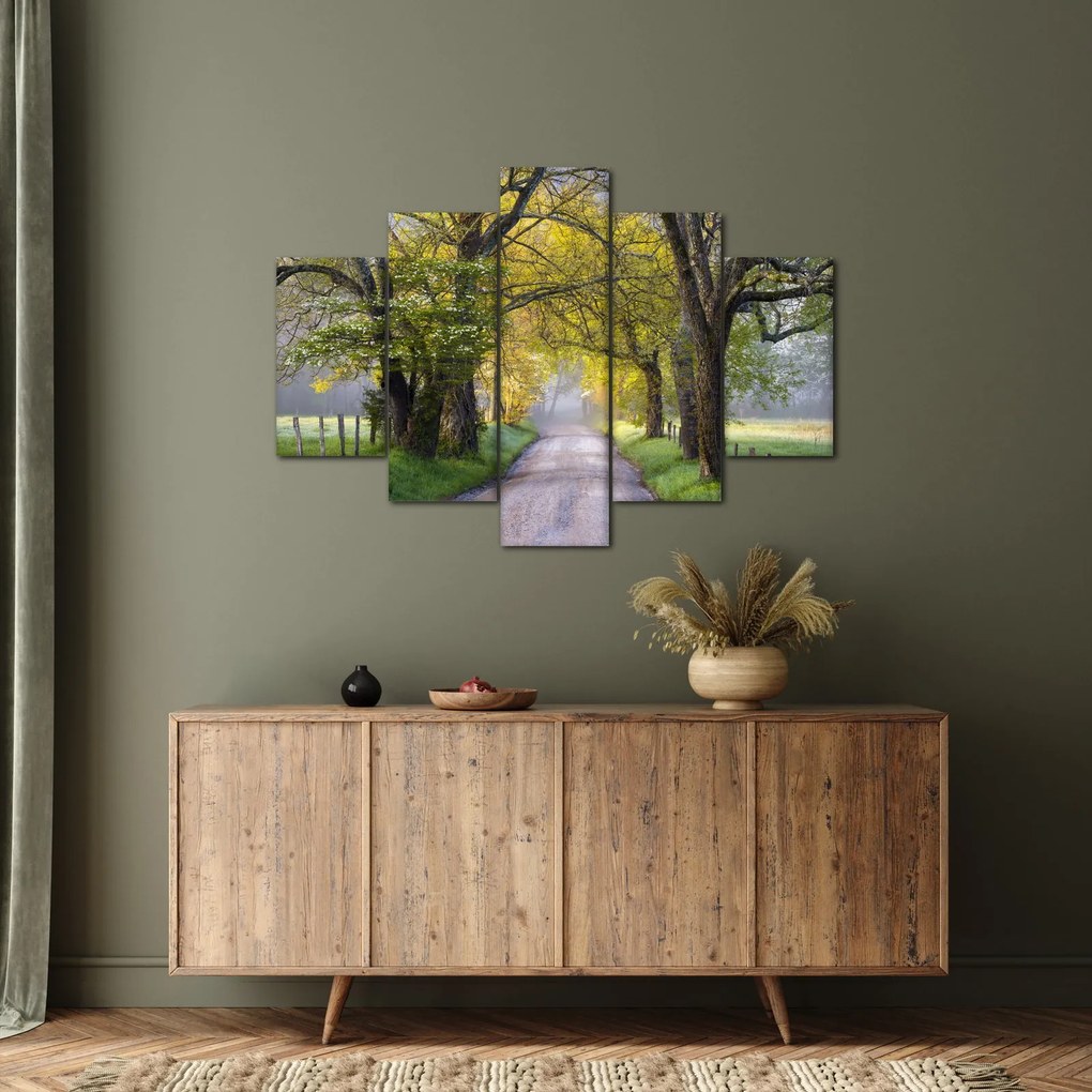 Obraz - Smoky Mountains, Gatlinburg, USA (150x105 cm)