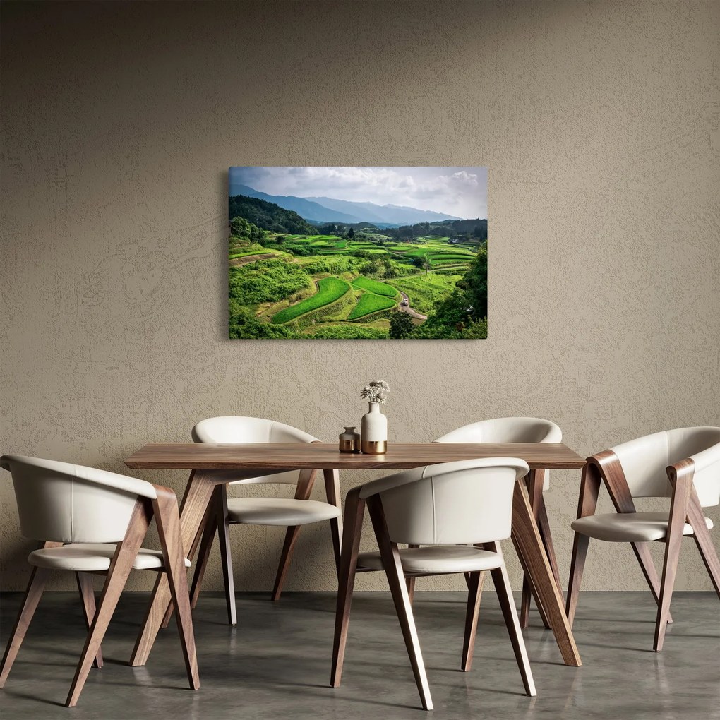 Obraz ryžových polí (90x60 cm)
