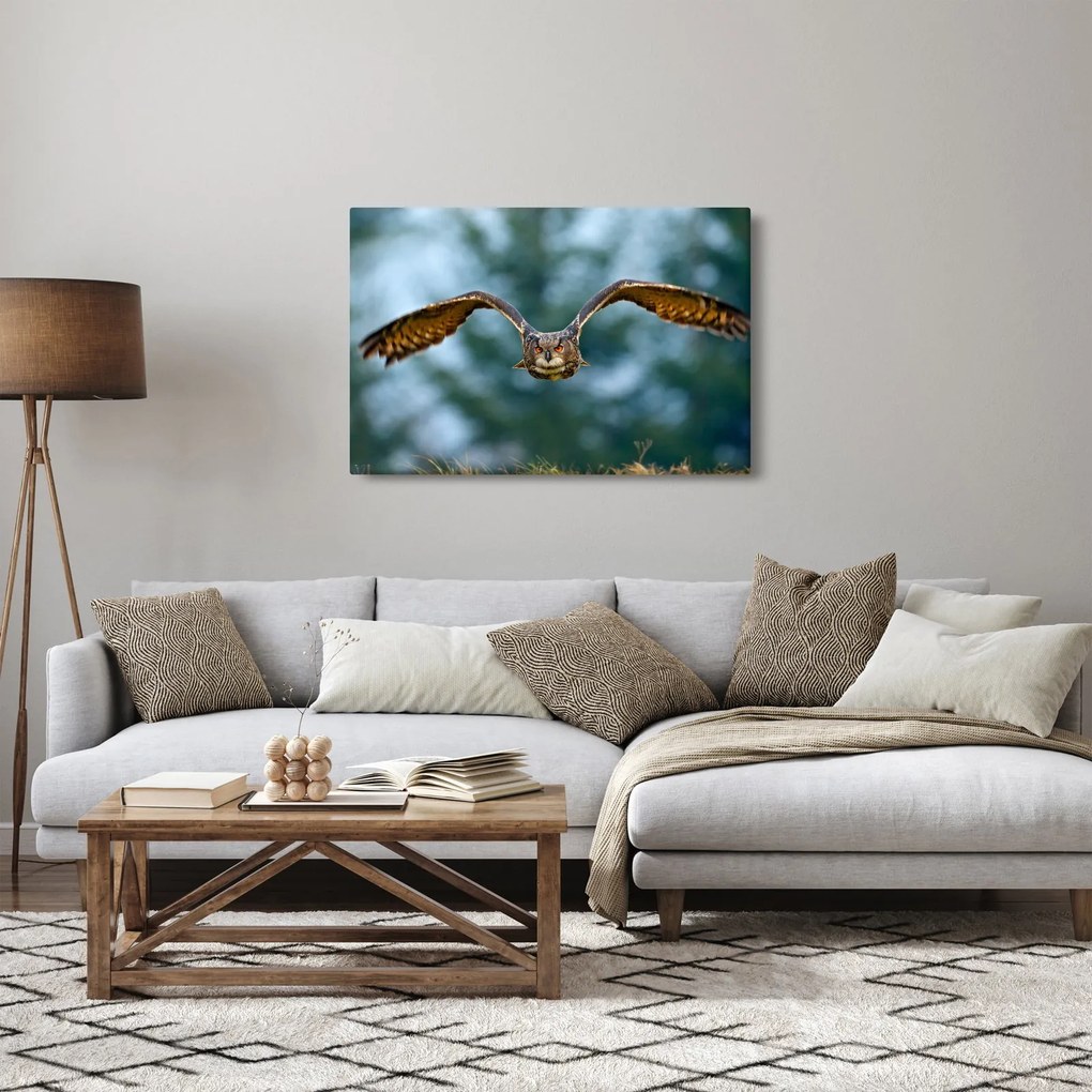 Obraz - Sova pri lete (90x60 cm)
