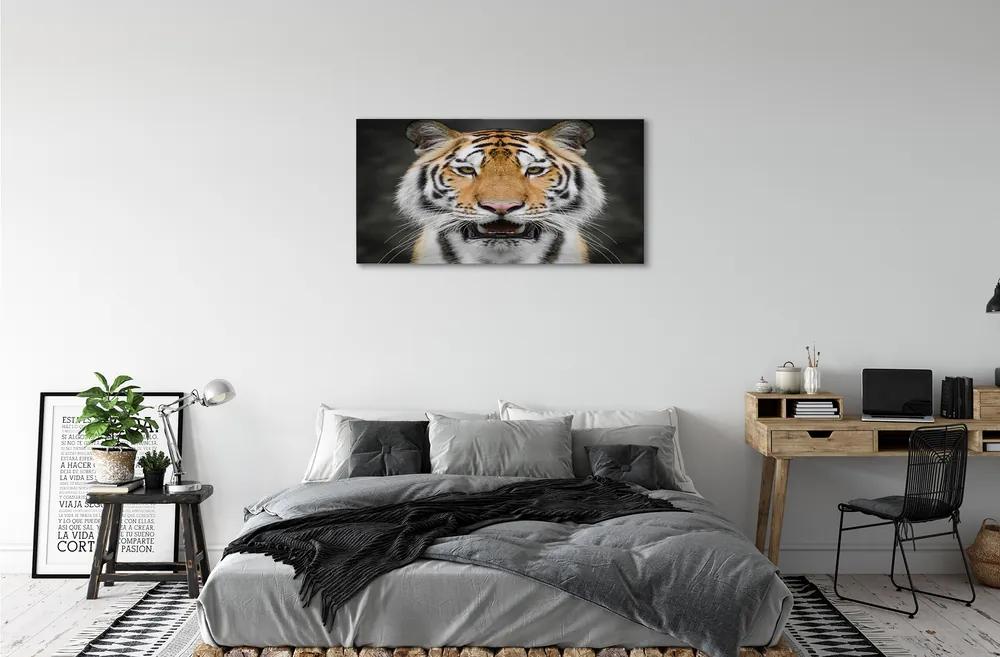 Obraz na plátne tiger 125x50 cm
