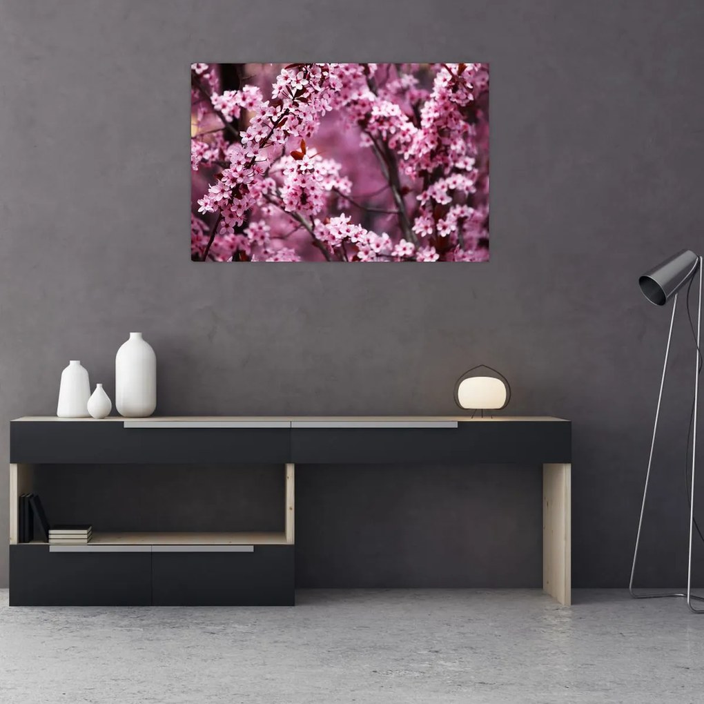 Obraz - Ružová sakura (90x60 cm)