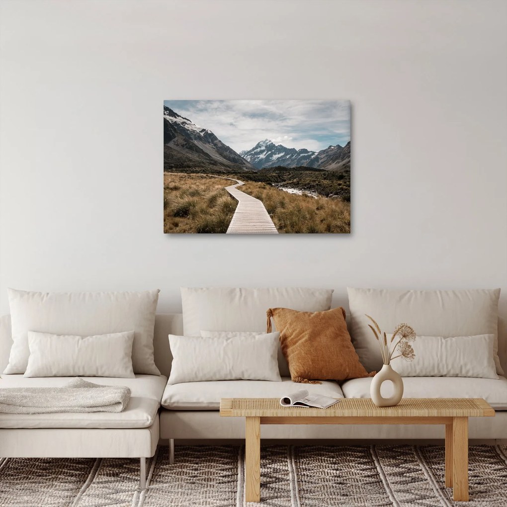 Obraz - Chodník v údolí hory Mt. Cook (70x50 cm)
