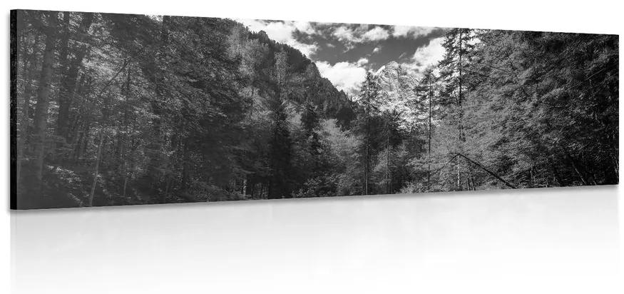 Obraz čiernobiela horská krajina Varianta: 120x40