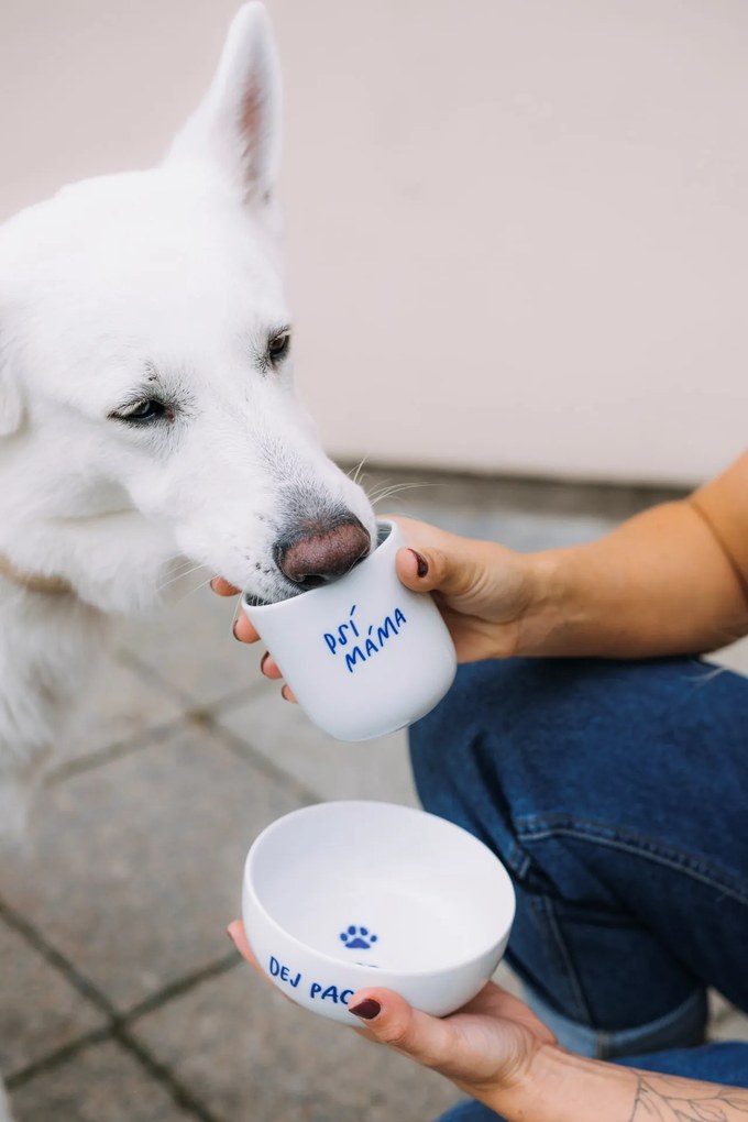 Bella Rose Porcelánová miska Dej pac  450 ml