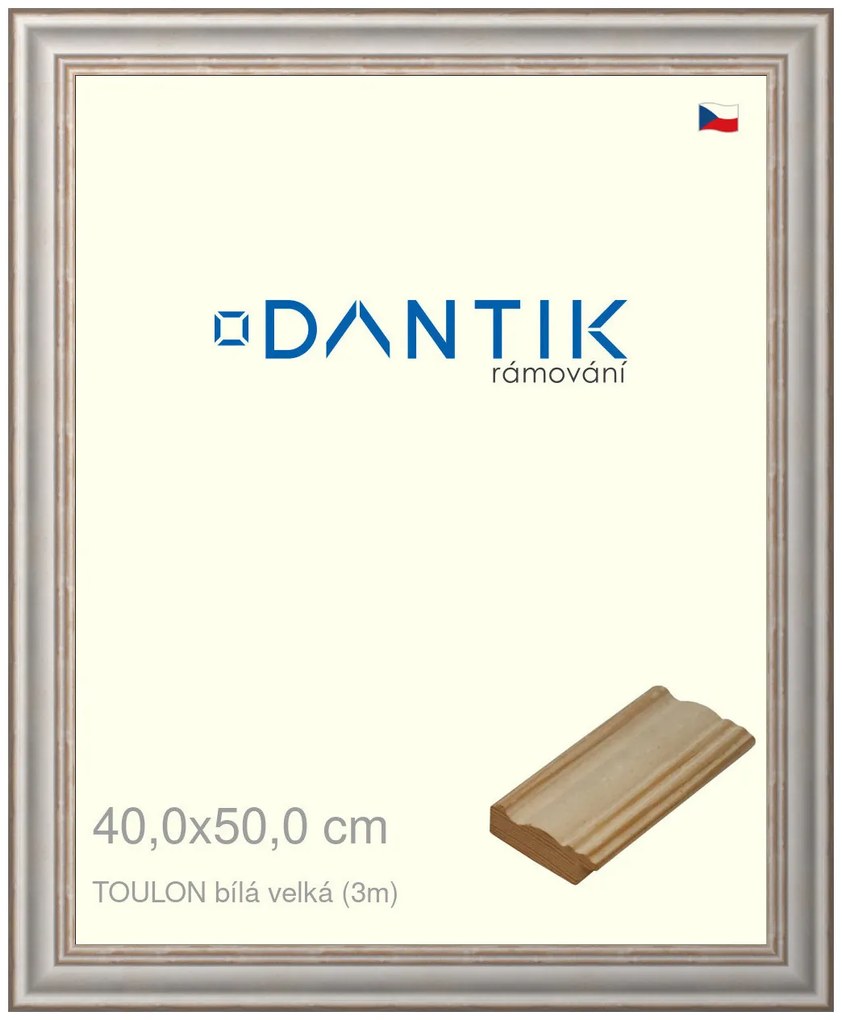 DANTIK rám na obraz 40x50 | TOULON bílá velká (Plexi Čiré)