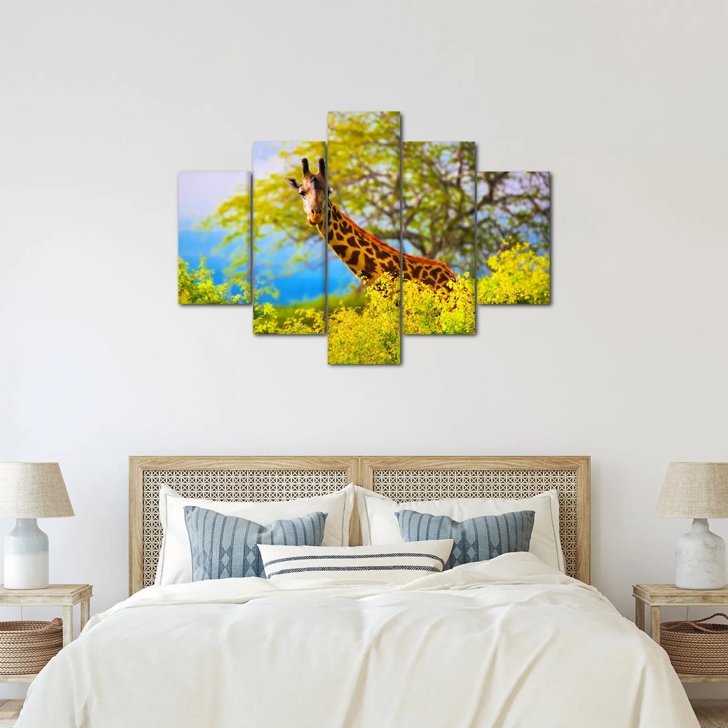 Obraz žirafy v Afrike (150x105 cm)
