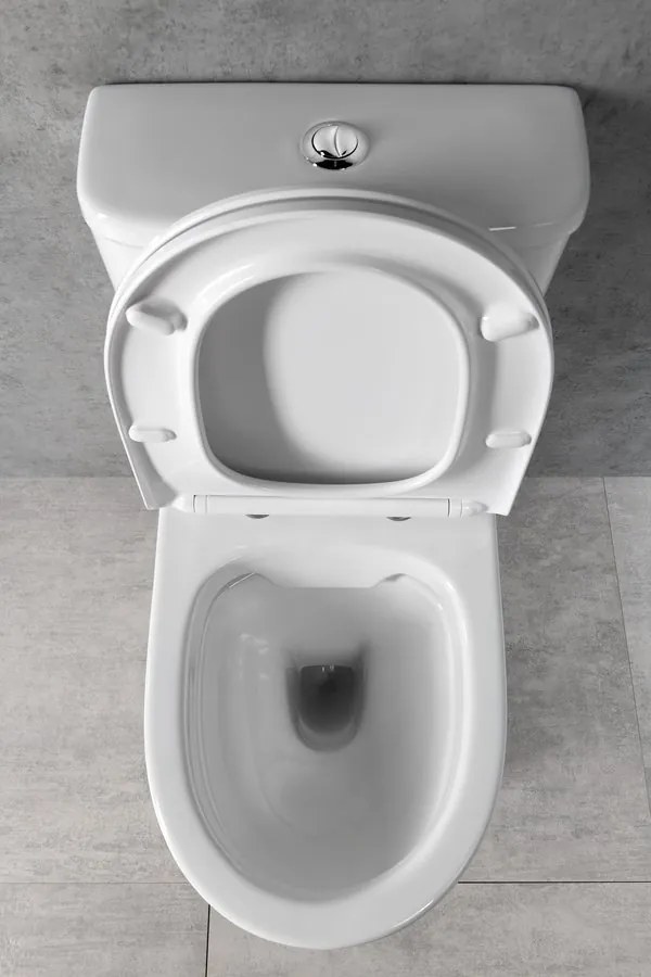 Bruckner Bruckner, DARIO RIMLESS WC kombi misa s nádržkou, spodný/zadný odpad, biela, 201.431.4
