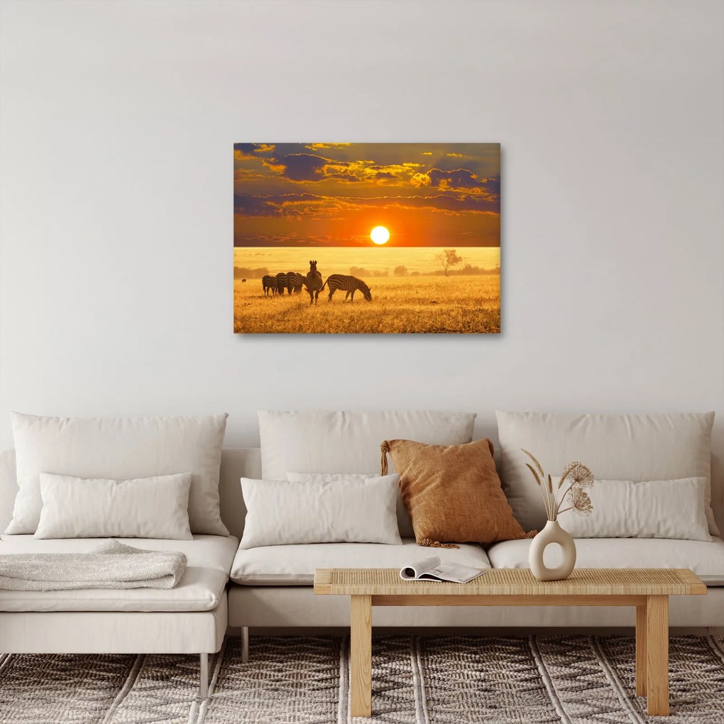 Obraz - Zebry so západom slnka (70x50 cm)