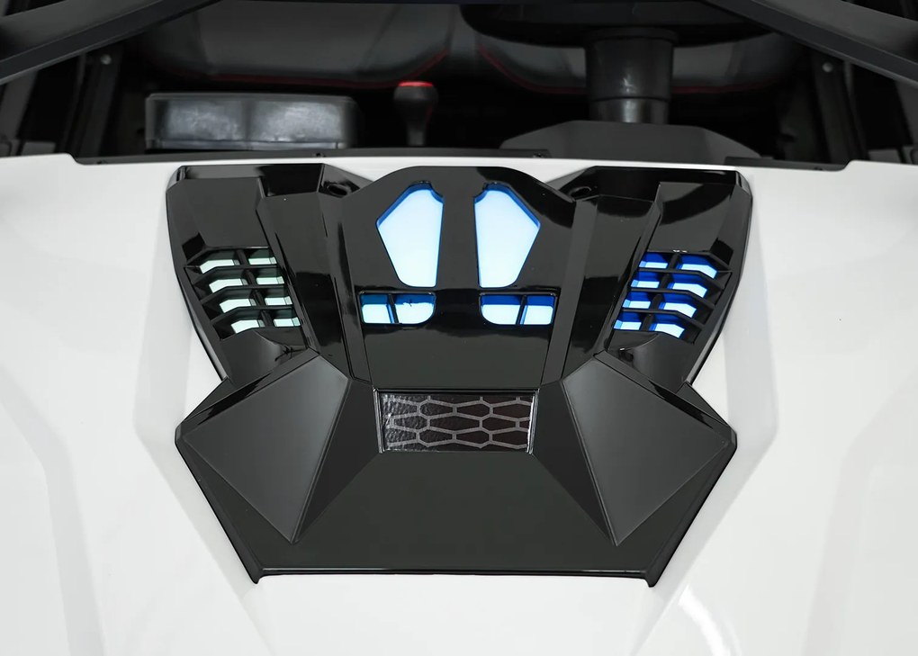 Ramiz RTR Monster Speed 4x4 Buggy Biela