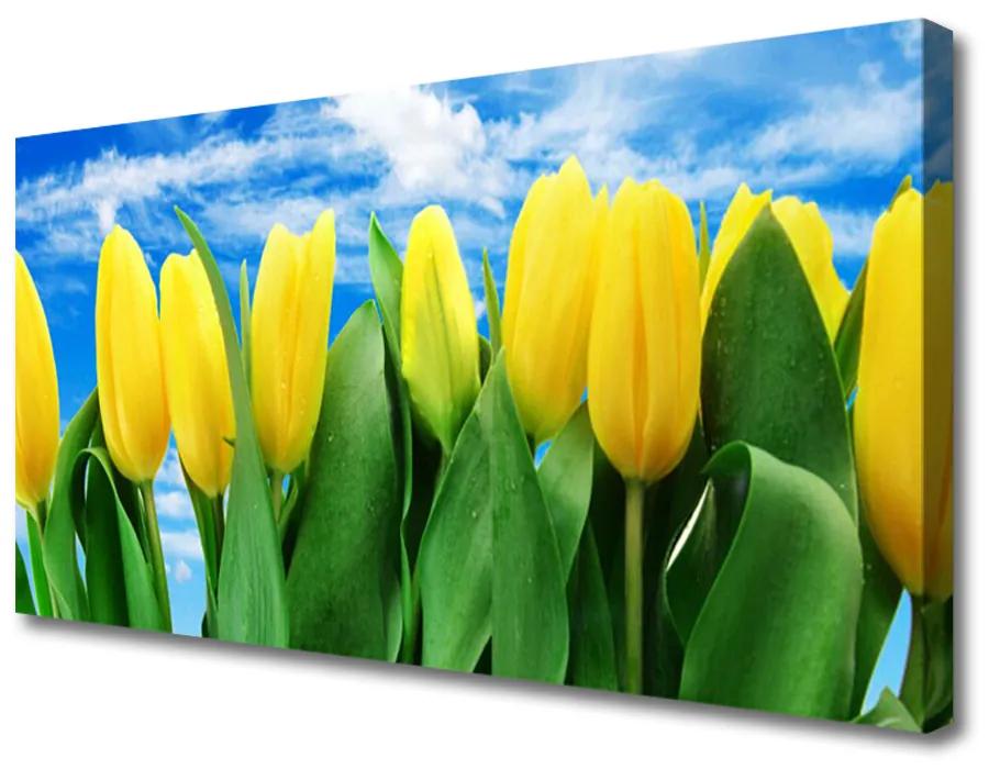 Obraz na plátne Tulipány kvety 140x70 cm