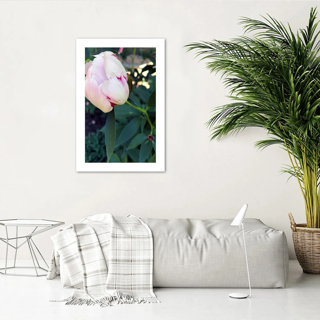 Gario Plagát Biela pivonka Farba rámu: Bez rámu, Rozmery: 30 x 45 cm