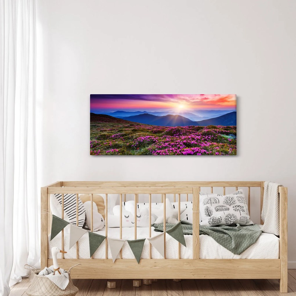 Obraz - Horská rozkvitnutá krajina (120x50 cm)
