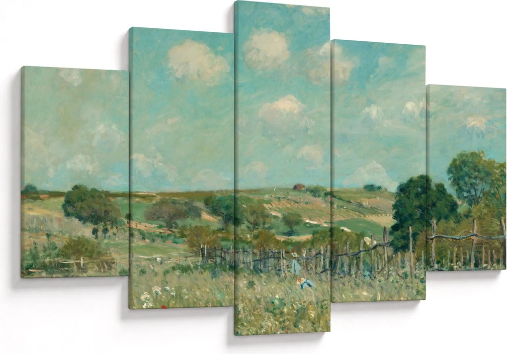 Obraz - Alfred Sisley, Meadow, reprodukcia (150x105 cm)
