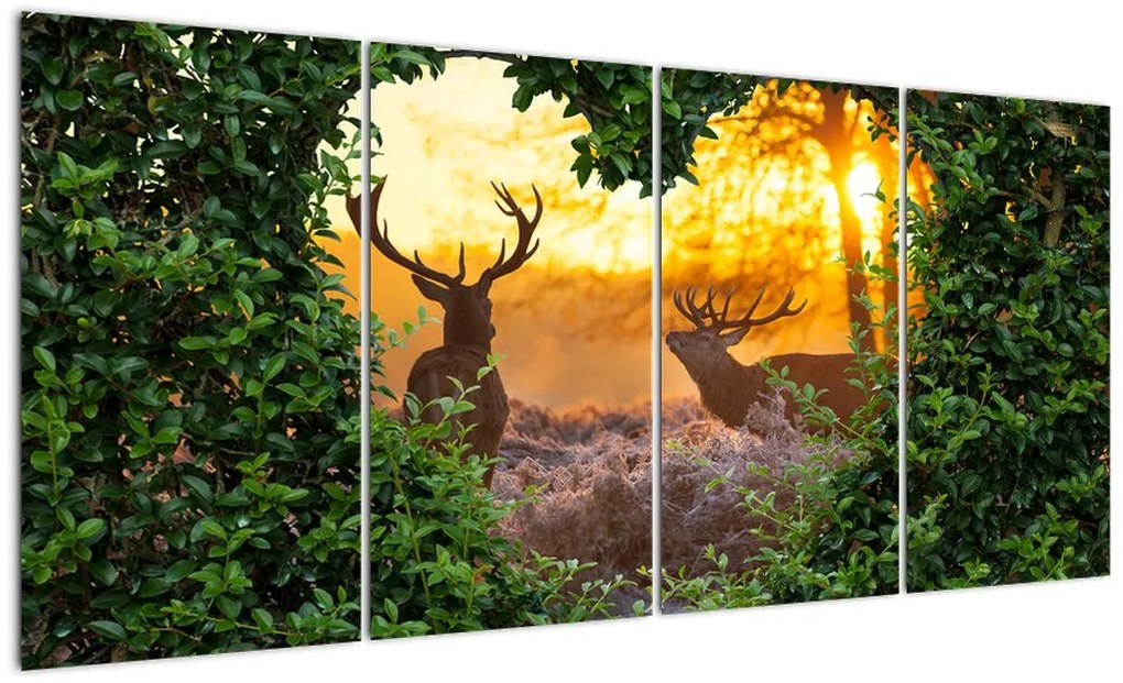 Abstraktný obraz na stenu