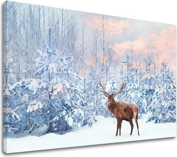 Obraz na stenu ZVIERATÁ_053-11