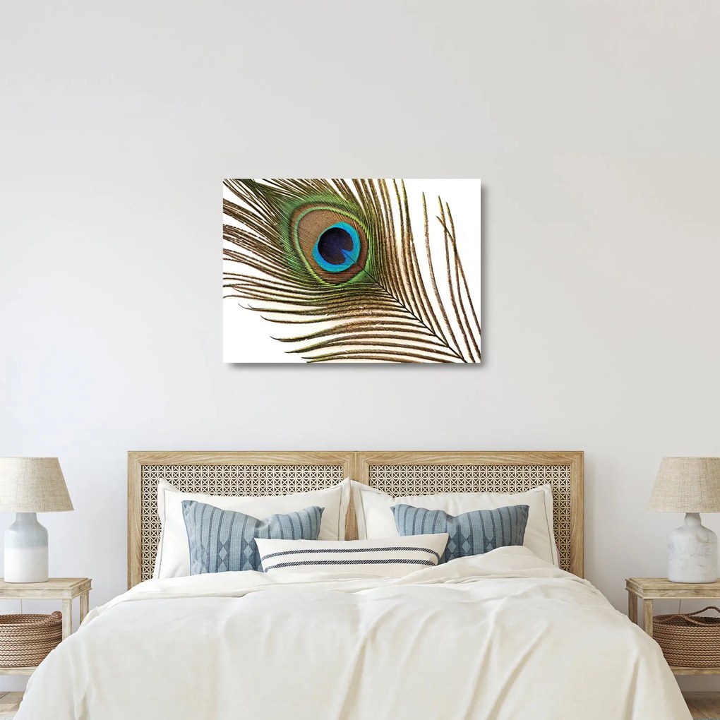 Sklenený obraz pávieho peria (70x50 cm)