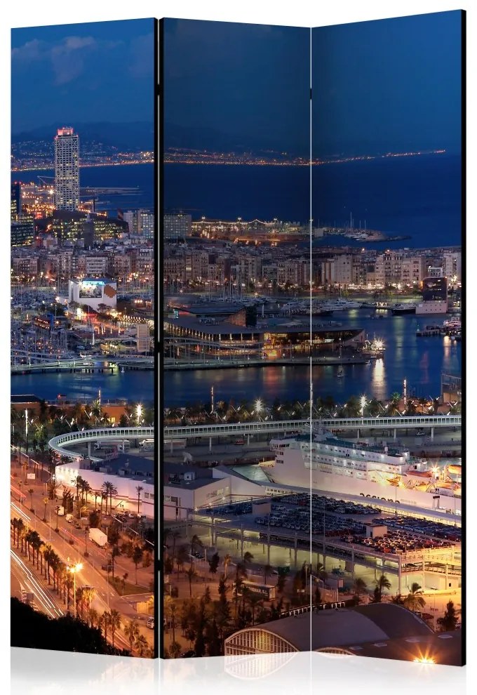 Artgeist Paraván - Illuminated Barcelona [Room Dividers]