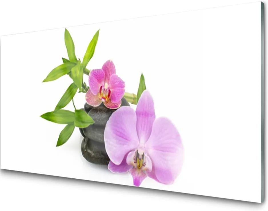Skleněný obraz Kvet Kamene Rastlina