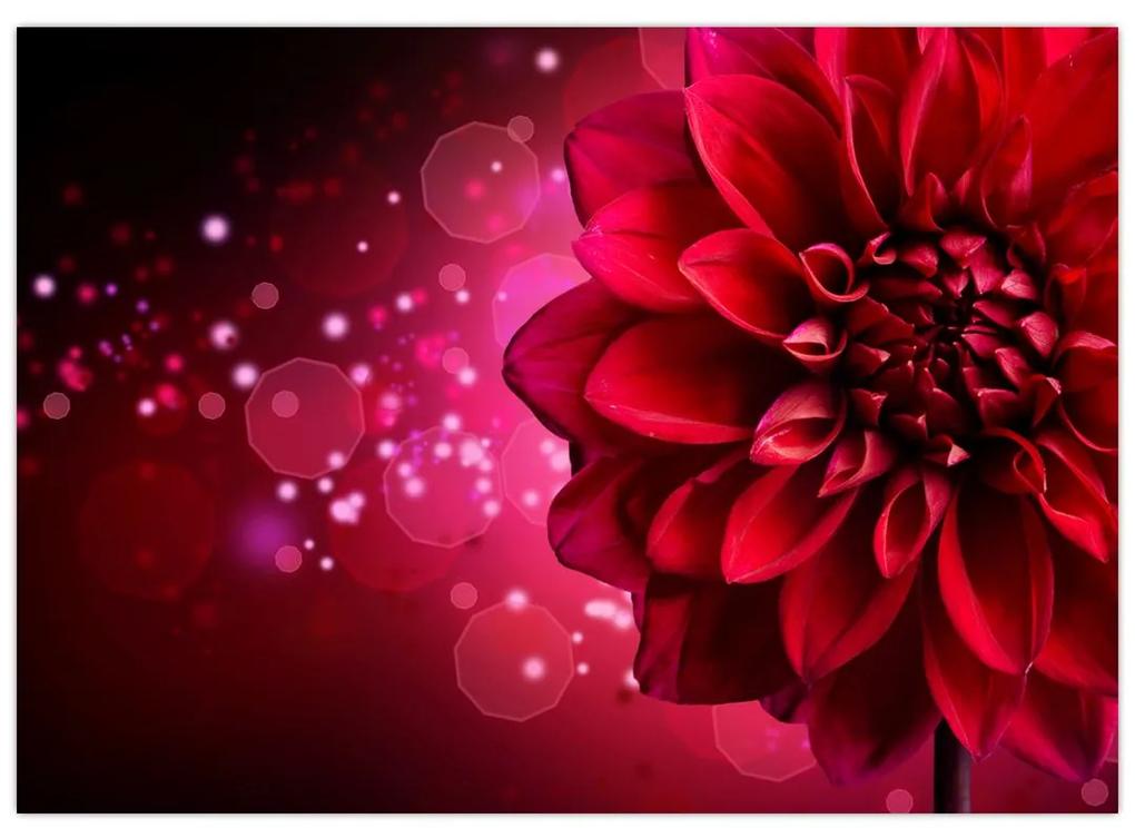 Sklenený obraz červené kvety (70x50 cm)
