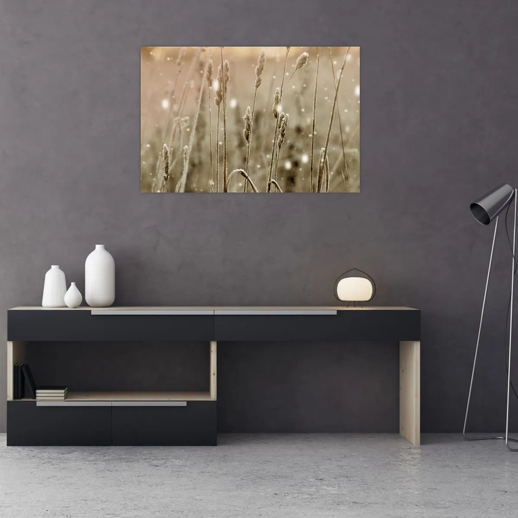Obraz - Harmonická lúka (90x60 cm)