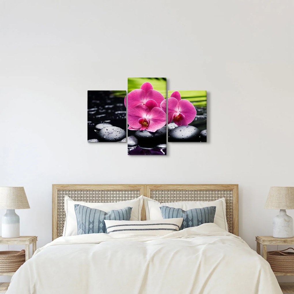 Obraz - Ružové orchidey s palmovým listom (90x60 cm)