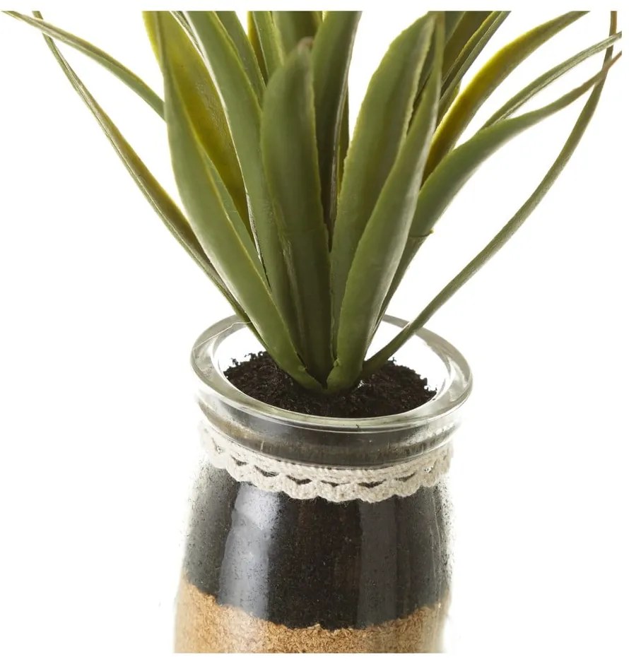 Umelé rastliny v súprave 4 ks (výška 18 cm) Cactus – Casa Selección