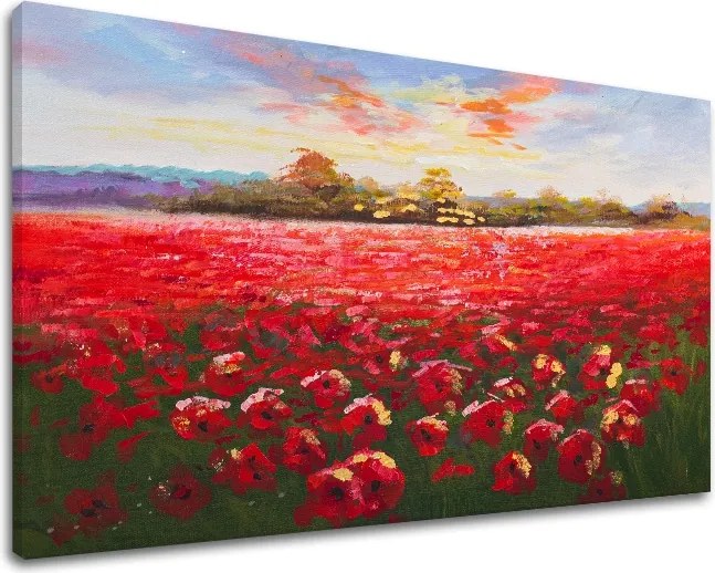 Obraz na plátne LÚKA 1 dielny XOBCHZH6008E1