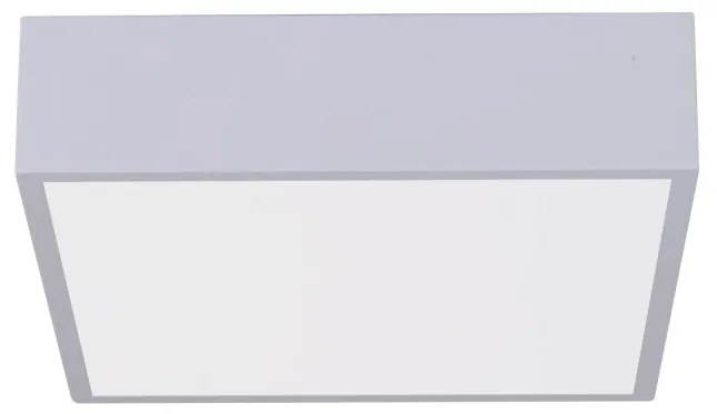 Immax NEO 07238L - LED Stmievateľné stropné svietidlo CANTO 22W/230V biela Tuya +DO