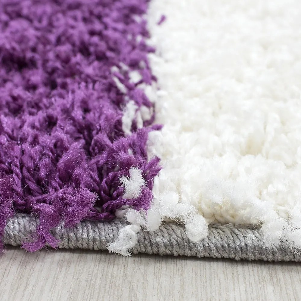 Fialovo-sivý koberec 160x230 cm Life – Ayyildiz Carpets