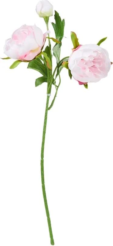 FLORISTA Iskerník malý 29 cm - pastelovo ružová