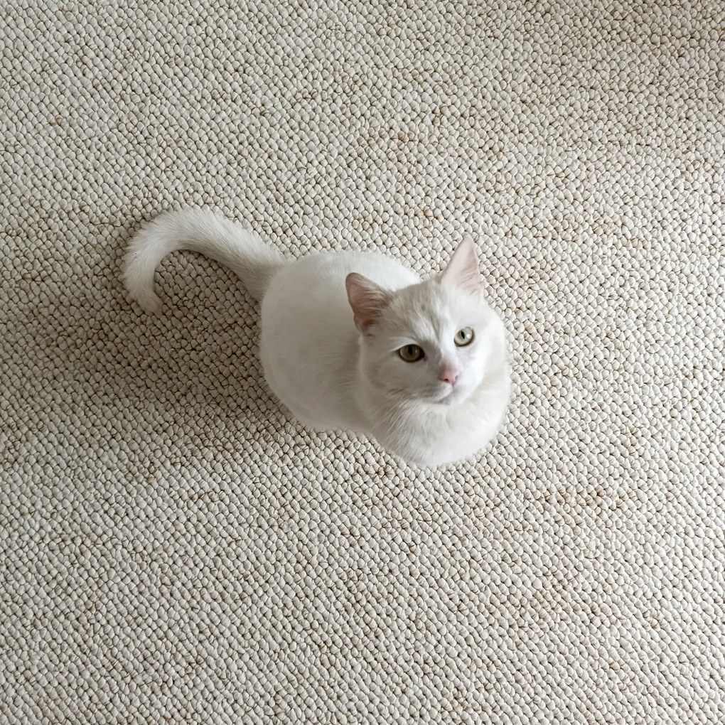 BT Carpet, Kusový koberec Wolly 102843, 80x150, biela, obývacia izba