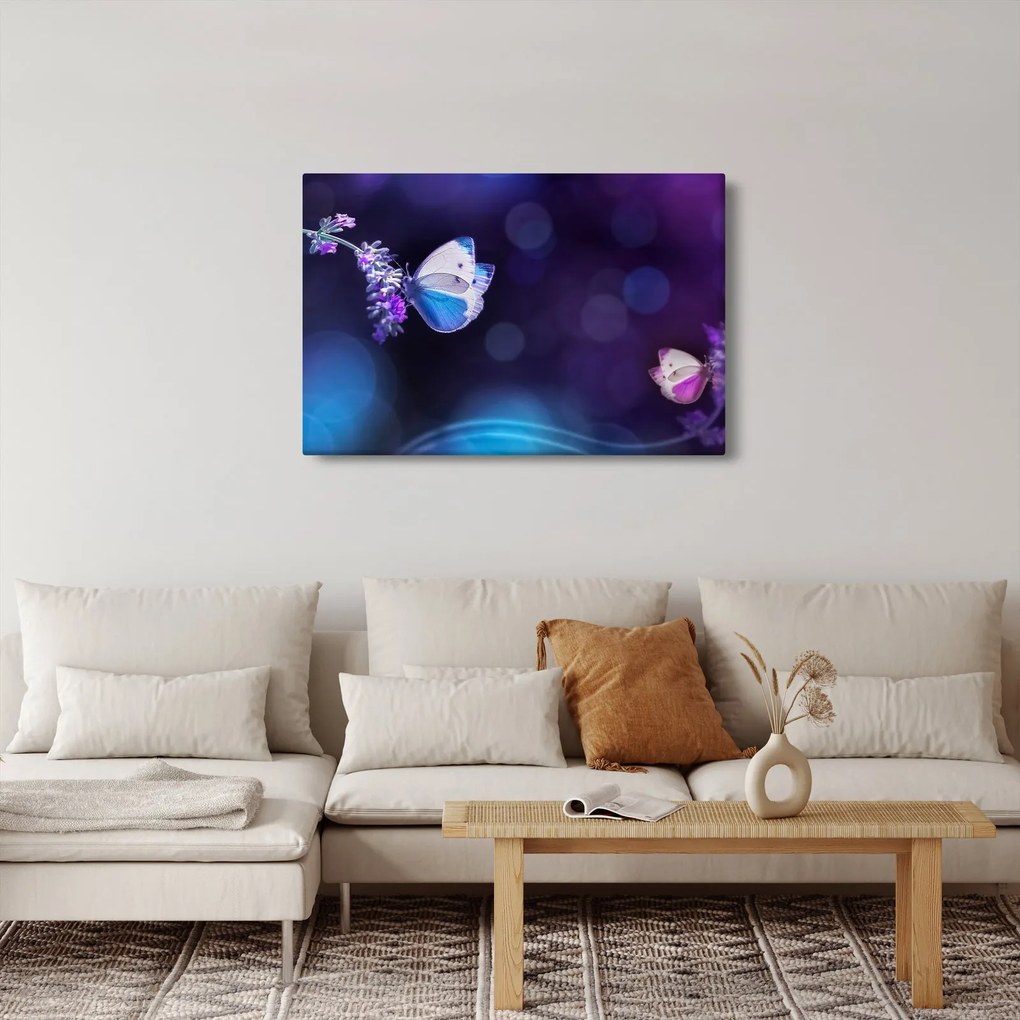 Obraz - Motýle na levanduli (90x60 cm)
