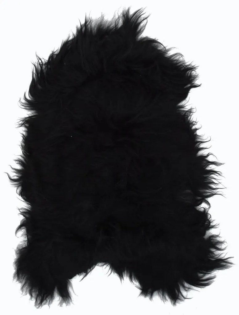 vidaXL Islandská ovčia koža čierna 70x110 cm