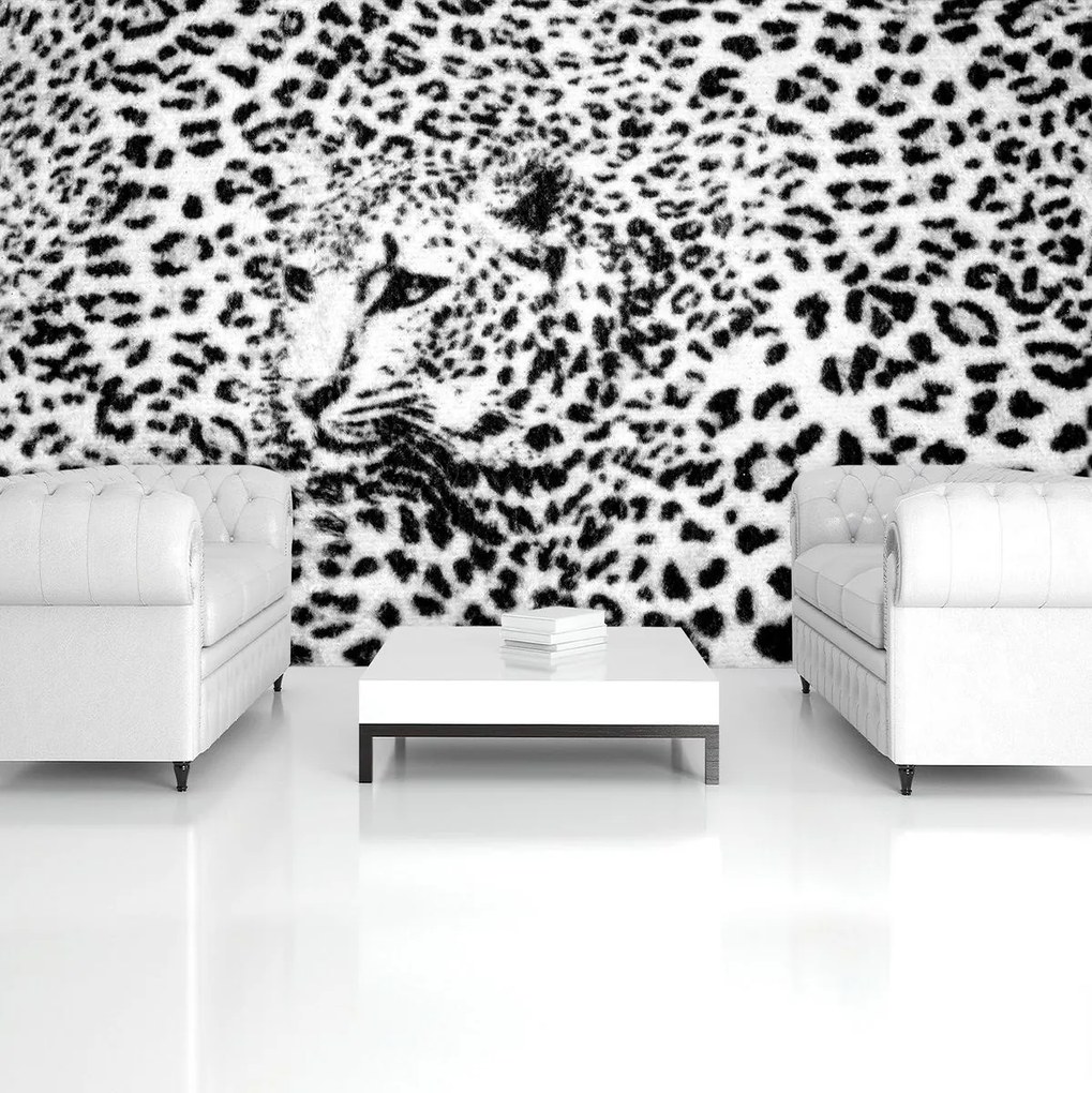 Fototapeta - Čiernobiela - gepard (254x184 cm)