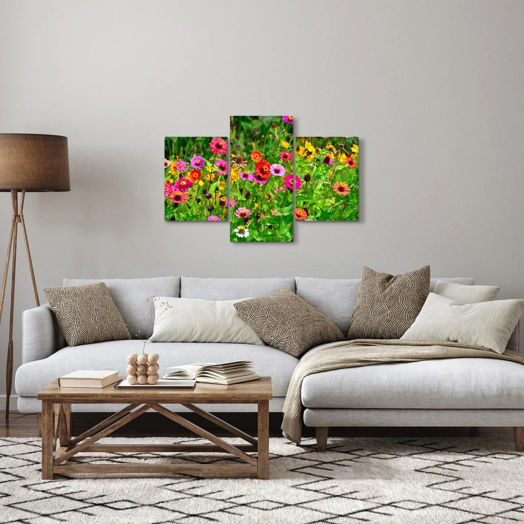 Obraz lúčnych kvetov (90x60 cm)