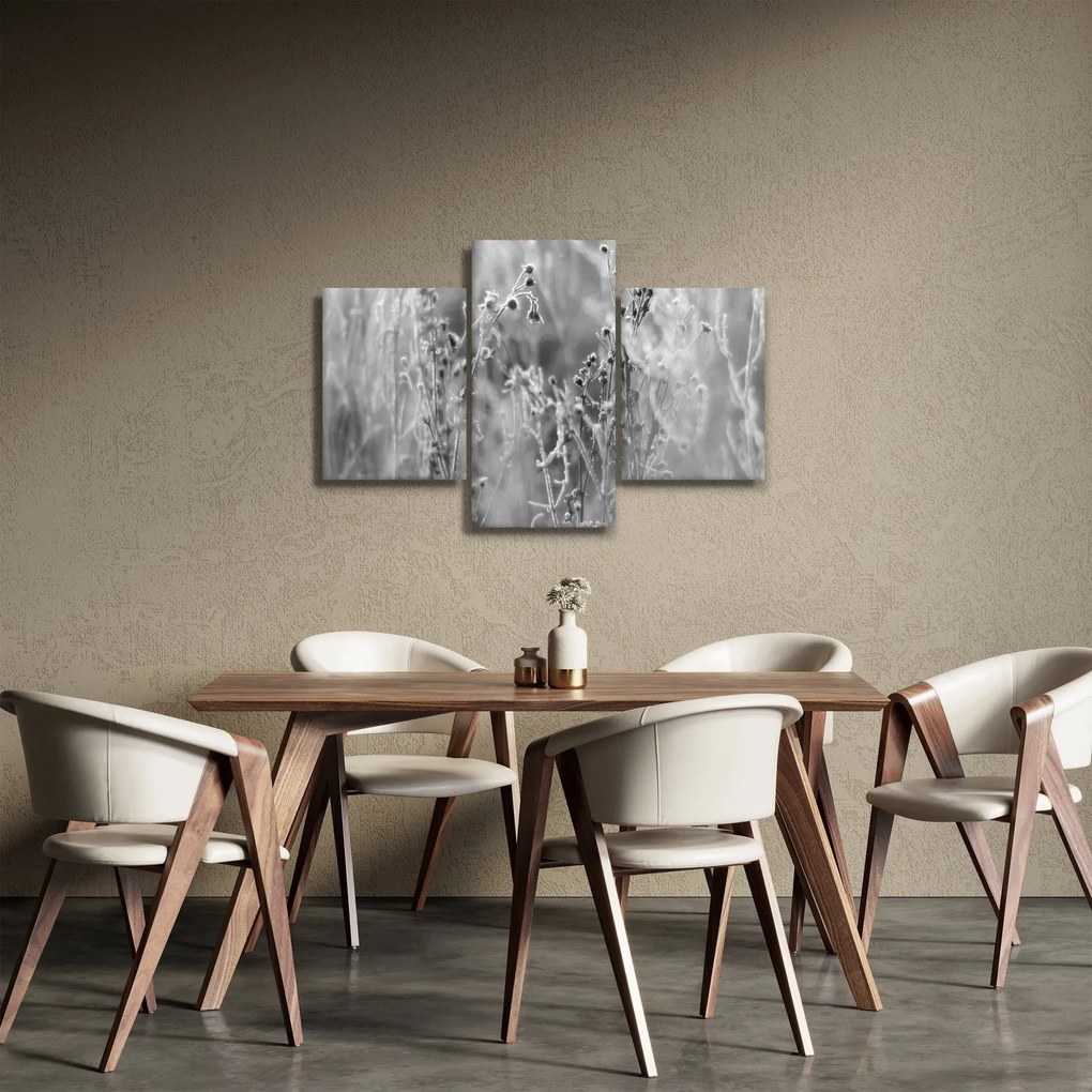 Obraz - Divoká lúka (90x60 cm)