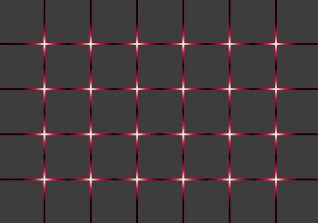 Fototapeta - Červená mriežka (254x184 cm)