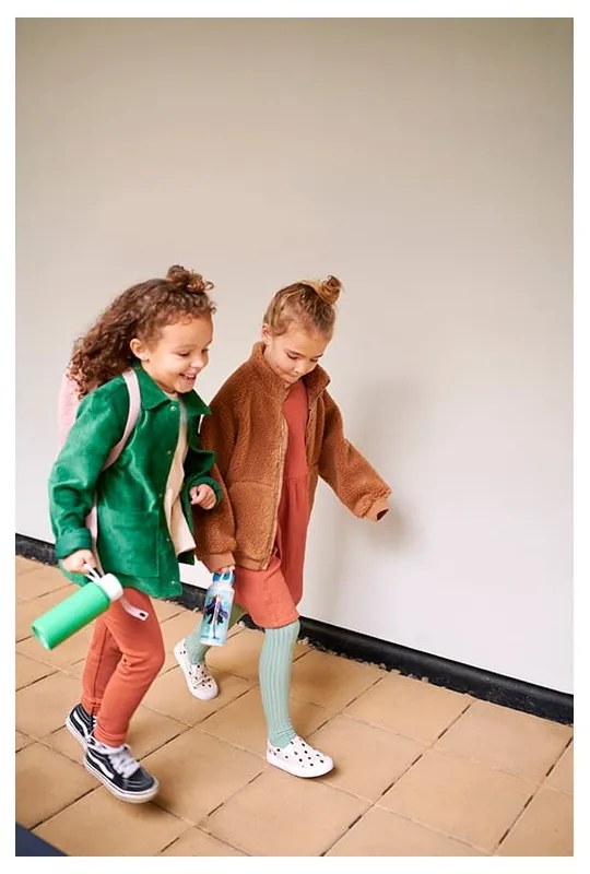 Detský desiatový box s fliaš Flowers &amp; butterflies – Mepal