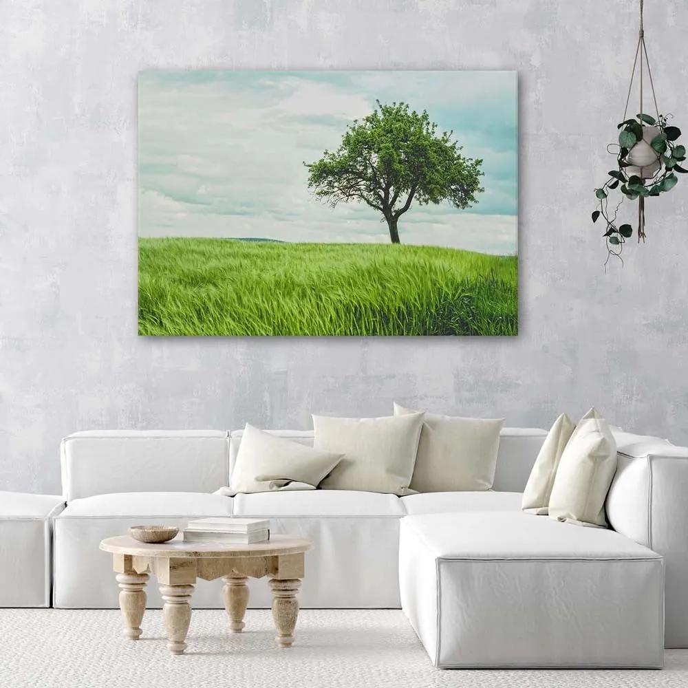 Obraz na plátně Zelený strom Krajina Příroda - 90x60 cm