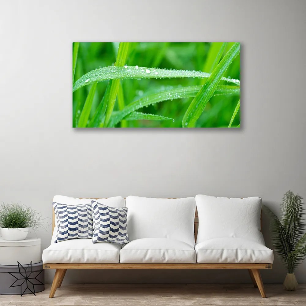 Obraz Canvas Listy kvapky rosy príroda 125x50 cm