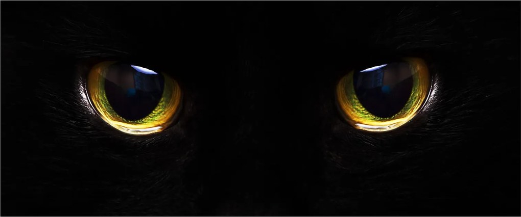 Obraz - Mačacie oči (120x50 cm)