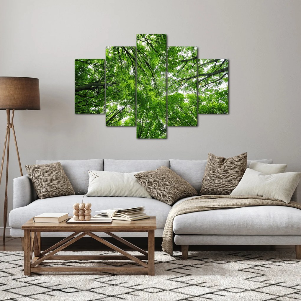 Obraz - Pohľad do korún stromov (150x105 cm)