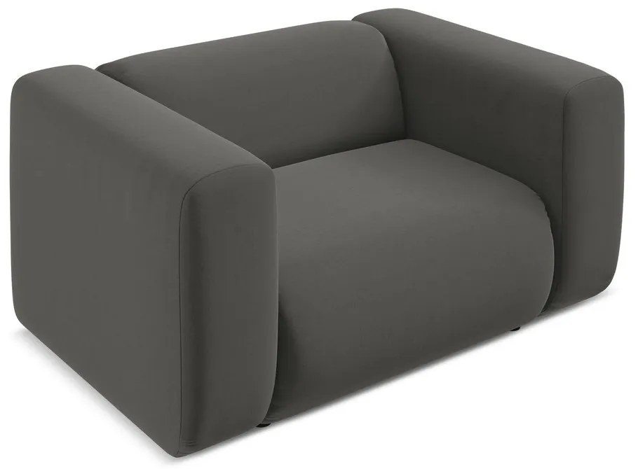 Sivé zamatové kreslo Ekahi – Makamii