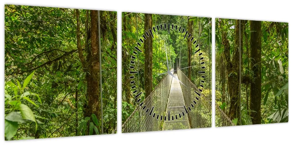 Obraz - Závesný most (s hodinami) (90x30 cm)